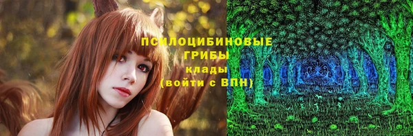герыч Арсеньев
