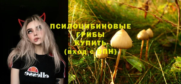 мет Армянск